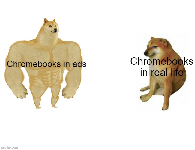 Buff Doge vs. Cheems | Chromebooks in real life; Chromebooks in ads | image tagged in memes,buff doge vs cheems | made w/ Imgflip meme maker