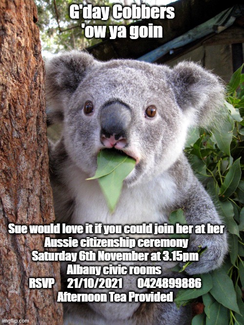 Australian Koala Surprise WTF | G'day Cobbers
'ow ya goin; Sue would love it if you could join her at her
 Aussie citizenship ceremony
Saturday 6th November at 3.15pm
Albany civic rooms 
RSVP      21/10/2021       0424899886
Afternoon Tea Provided | image tagged in australian koala surprise wtf | made w/ Imgflip meme maker