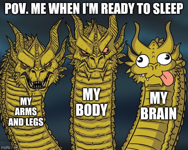 Three-headed Dragon |  POV. ME WHEN I'M READY TO SLEEP; MY BODY; MY BRAIN; MY ARMS AND LEGS | image tagged in three-headed dragon | made w/ Imgflip meme maker