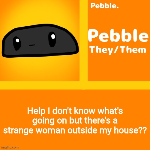 Pebble | Help I don't know what's going on but there's a strange woman outside my house?? | image tagged in pebble | made w/ Imgflip meme maker