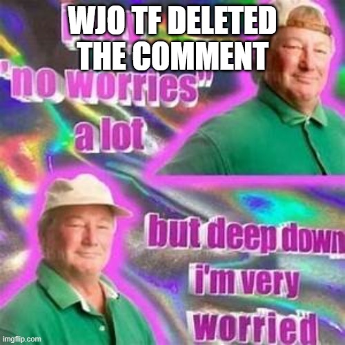worried | WJO TF DELETED THE COMMENT | image tagged in worried | made w/ Imgflip meme maker