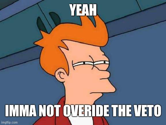 Sorry IG | YEAH; IMMA NOT OVERIDE THE VETO | image tagged in memes,futurama fry,veto | made w/ Imgflip meme maker