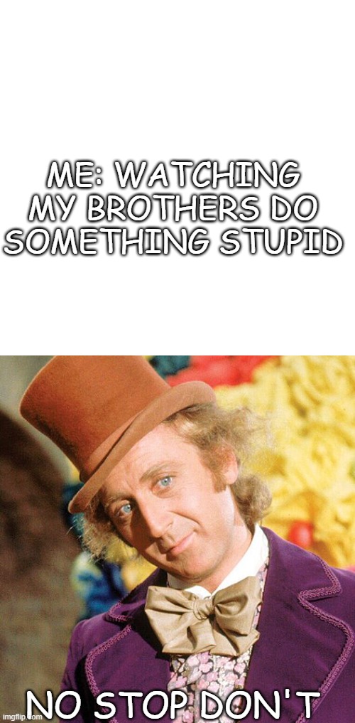 Yep | ME: WATCHING MY BROTHERS DO SOMETHING STUPID; NO STOP DON'T | image tagged in no stop don't wonka | made w/ Imgflip meme maker