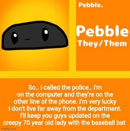 Pebble | So.. I called the police.. I'm on the computer and they're on the other line of the phone. I'm very lucky I don't live far away from the department. I'll keep you guys updated on the creepy 70 year old lady with the baseball bat | image tagged in pebble | made w/ Imgflip meme maker