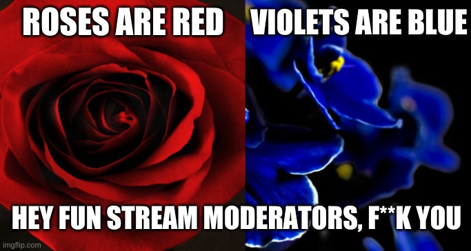 :( | VIOLETS ARE BLUE; ROSES ARE RED; HEY FUN STREAM MODERATORS, F**K YOU | image tagged in roses are red violets are blue | made w/ Imgflip meme maker