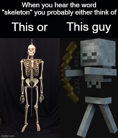 When you hear the word "skeleton" you probably either think of; This guy; This or | image tagged in black background,minecraft,skeleton | made w/ Imgflip meme maker