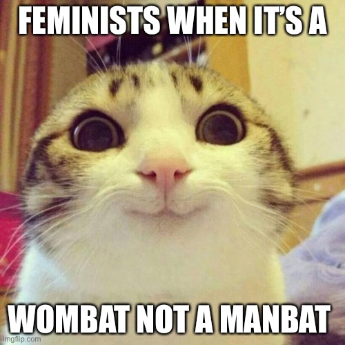 Help I’ve fallen into Feminist whens!! | FEMINISTS WHEN IT’S A; WOMBAT NOT A MANBAT | image tagged in memes,smiling cat | made w/ Imgflip meme maker