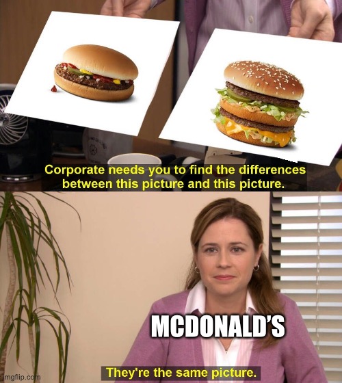 What you see in the ads and what you get | MCDONALD’S | image tagged in they are the same picture | made w/ Imgflip meme maker