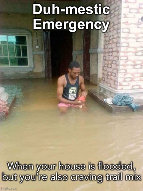 Get Outta There! Duh. | Duh-mestic Emergency; When your house is flooded, but you’re also craving trail mix | image tagged in funny memes,flooding | made w/ Imgflip meme maker