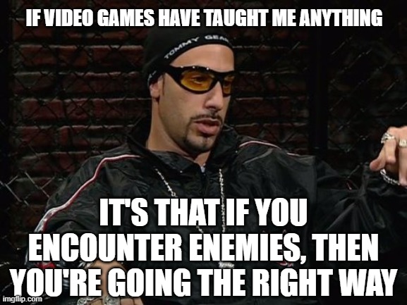 Ali G Wisdom |  IF VIDEO GAMES HAVE TAUGHT ME ANYTHING; IT'S THAT IF YOU ENCOUNTER ENEMIES, THEN YOU'RE GOING THE RIGHT WAY | image tagged in ali g,enemies,video games | made w/ Imgflip meme maker