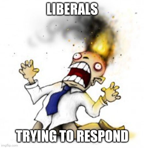 head explode | LIBERALS TRYING TO RESPOND | image tagged in head explode | made w/ Imgflip meme maker