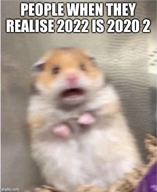 Scared Hamster | PEOPLE WHEN THEY REALISE 2022 IS 2020 2 | image tagged in scared hamster | made w/ Imgflip meme maker