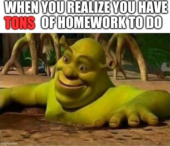 shrek | WHEN YOU REALIZE YOU HAVE             OF HOMEWORK TO DO; TONS | image tagged in shrek | made w/ Imgflip meme maker