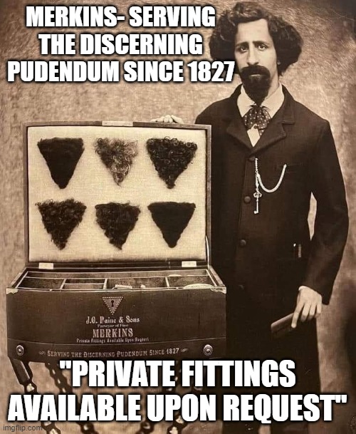 Merkin salesman- read the case | MERKINS- SERVING THE DISCERNING PUDENDUM SINCE 1827; "PRIVATE FITTINGS AVAILABLE UPON REQUEST" | image tagged in wigs,sex aids,historical | made w/ Imgflip meme maker