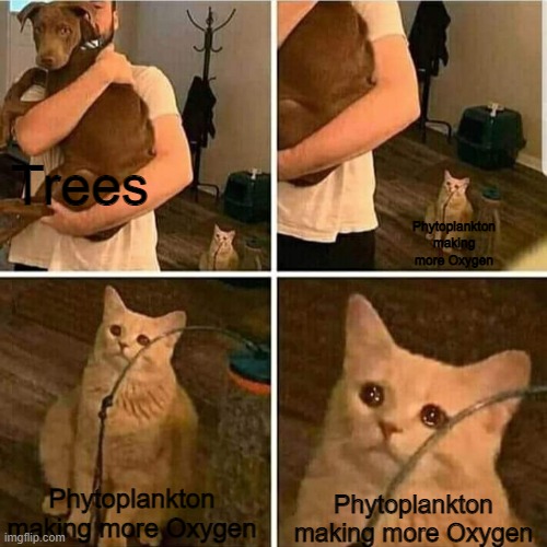 If you didn't know before, Phytoplankton makes more Oxygen then trees. Sad. | Trees; Phytoplankton making more Oxygen; Phytoplankton making more Oxygen; Phytoplankton making more Oxygen | image tagged in tag | made w/ Imgflip meme maker