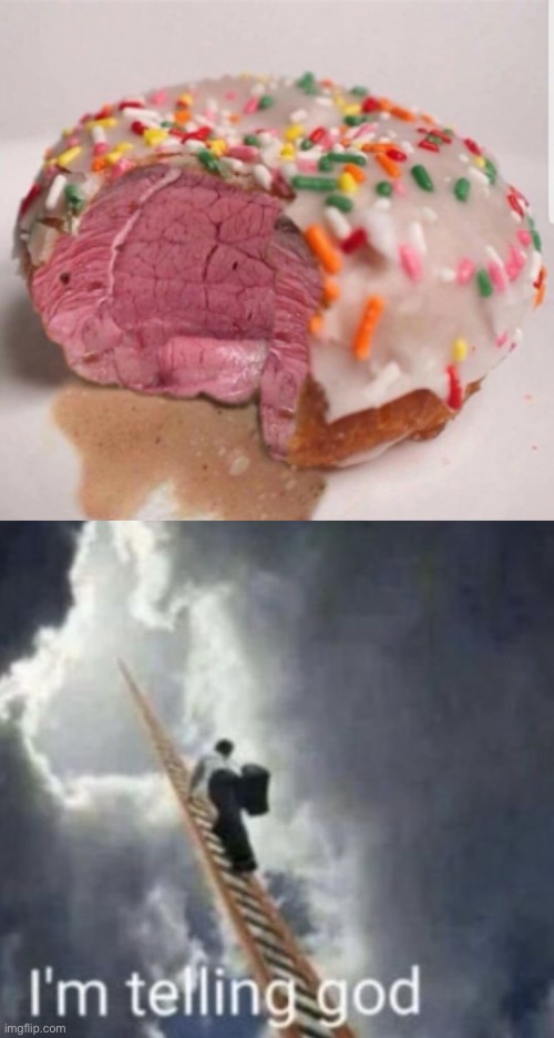 Who would eat this? | image tagged in im telling god,memes,funny,wtf,its raw,donut | made w/ Imgflip meme maker