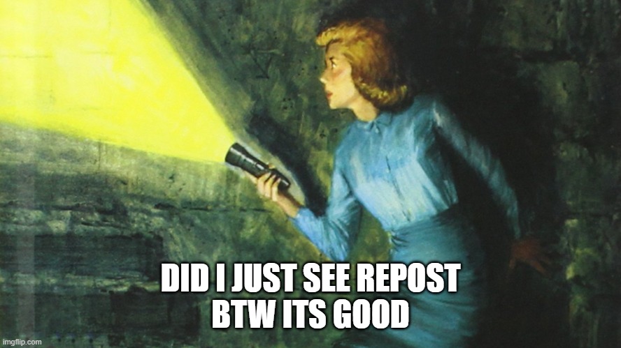 Nancy Drew Flashlight | DID I JUST SEE REPOST
BTW ITS GOOD | image tagged in nancy drew flashlight | made w/ Imgflip meme maker