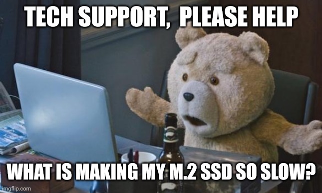 Ted look at all this... |  TECH SUPPORT,  PLEASE HELP; WHAT IS MAKING MY M.2 SSD SO SLOW? | image tagged in ted 2 computer | made w/ Imgflip meme maker