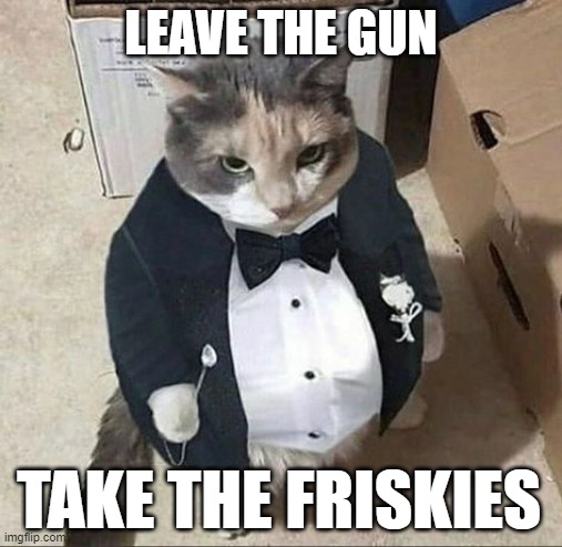 Catfather Clemenza | LEAVE THE GUN; TAKE THE FRISKIES | image tagged in the godfather,italians,mafia don,mafia | made w/ Imgflip meme maker