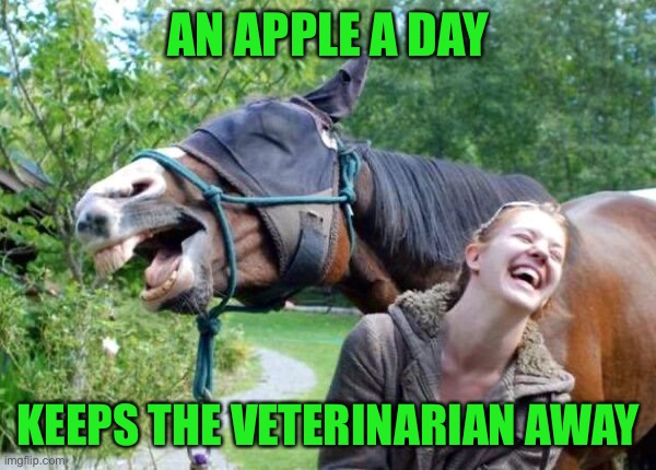 Laughing Horse | AN APPLE A DAY KEEPS THE VETERINARIAN AWAY | image tagged in laughing horse | made w/ Imgflip meme maker