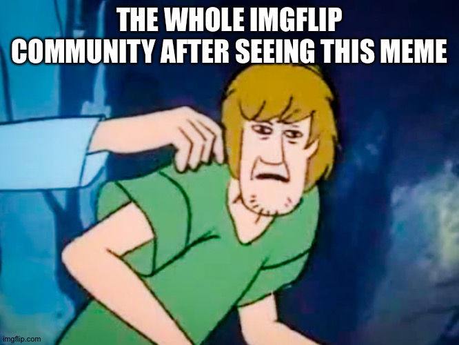 Shaggy meme | THE WHOLE IMGFLIP COMMUNITY AFTER SEEING THIS MEME | image tagged in shaggy meme | made w/ Imgflip meme maker