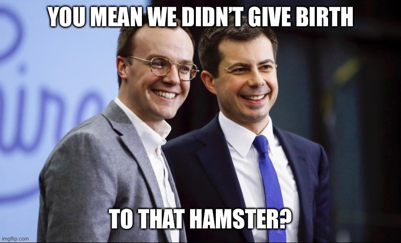 YOU MEAN WE DIDN’T GIVE BIRTH TO THAT HAMSTER? | made w/ Imgflip meme maker