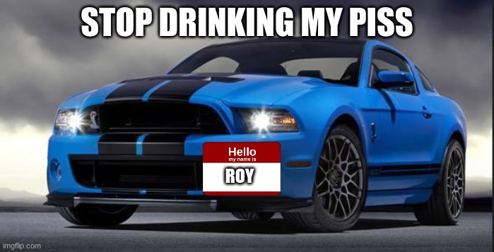 Mustang | STOP DRINKING MY PISS; ROY | image tagged in mustang | made w/ Imgflip meme maker