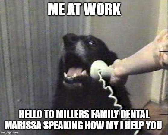 hello this is dog | ME AT WORK; HELLO TO MILLERS FAMILY DENTAL MARISSA SPEAKING HOW MY I HELP YOU | image tagged in hello this is dog | made w/ Imgflip meme maker
