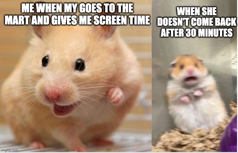 Scared Hamster | WHEN SHE DOESN'T COME BACK AFTER 30 MINUTES; ME WHEN MY GOES TO THE MART AND GIVES ME SCREEN TIME | image tagged in scaredhamster | made w/ Imgflip meme maker
