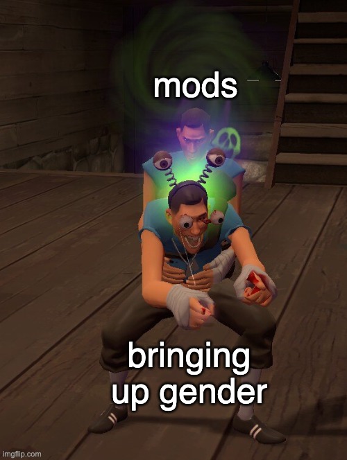 Cursed Cosmetics | mods; bringing up gender | image tagged in cursed cosmetics | made w/ Imgflip meme maker