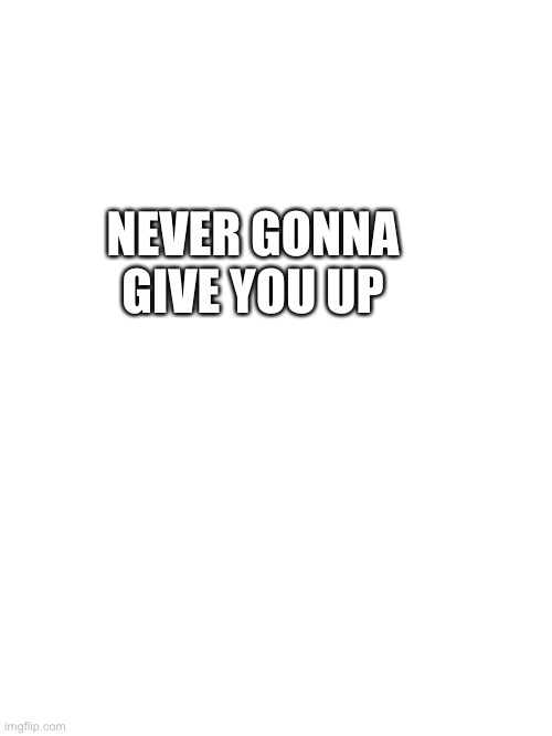 Me to Australians | NEVER GONNA GIVE YOU UP | image tagged in blank white template | made w/ Imgflip meme maker