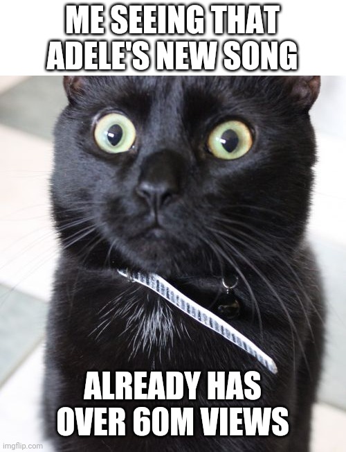 It got views pretty quickly lol | ME SEEING THAT ADELE'S NEW SONG; ALREADY HAS OVER 60M VIEWS | image tagged in memes,woah kitty | made w/ Imgflip meme maker