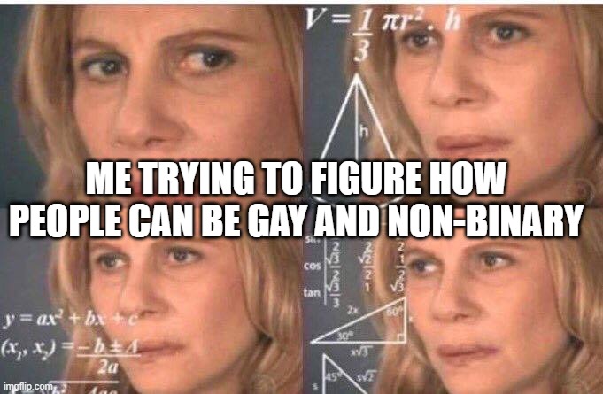 plz don't be mad at me... i'm going through enough i don't need more | ME TRYING TO FIGURE HOW PEOPLE CAN BE GAY AND NON-BINARY | image tagged in math lady/confused lady | made w/ Imgflip meme maker