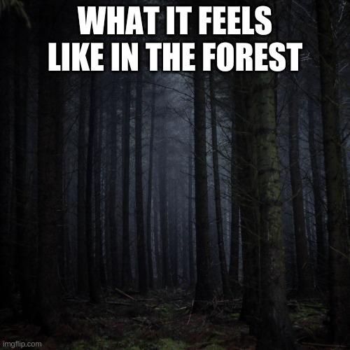 Dark forest | WHAT IT FEELS LIKE IN THE FOREST | image tagged in dark forest | made w/ Imgflip meme maker