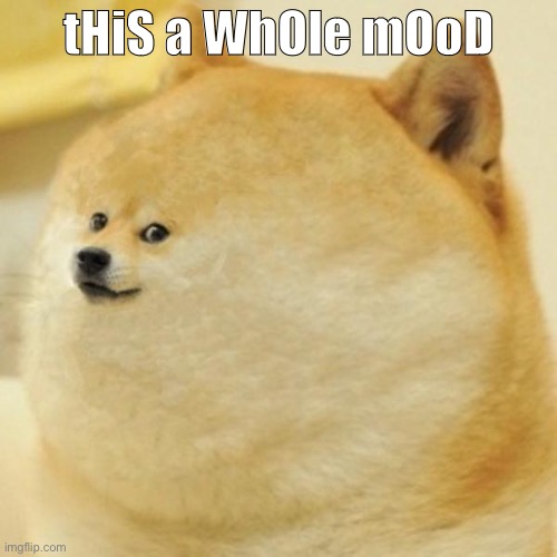 help | tHiS a WhOle mOoD | image tagged in smol doge | made w/ Imgflip meme maker
