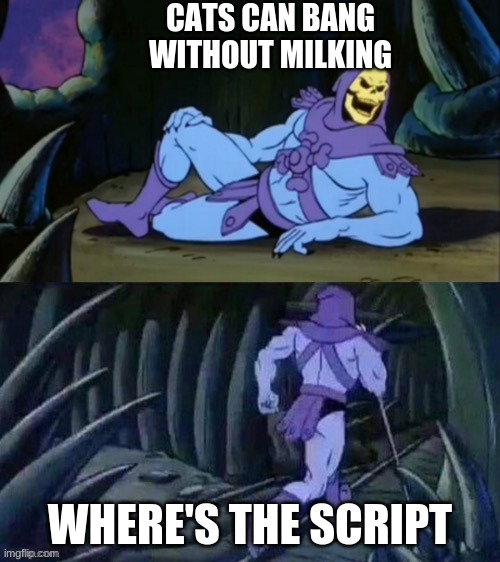 skeletor with cats