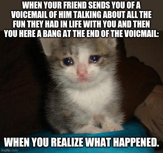 Happened last week. | WHEN YOUR FRIEND SENDS YOU OF A VOICEMAIL OF HIM TALKING ABOUT ALL THE FUN THEY HAD IN LIFE WITH YOU AND THEN YOU HERE A BANG AT THE END OF THE VOICEMAIL:; WHEN YOU REALIZE WHAT HAPPENED. | image tagged in sad kitten | made w/ Imgflip meme maker