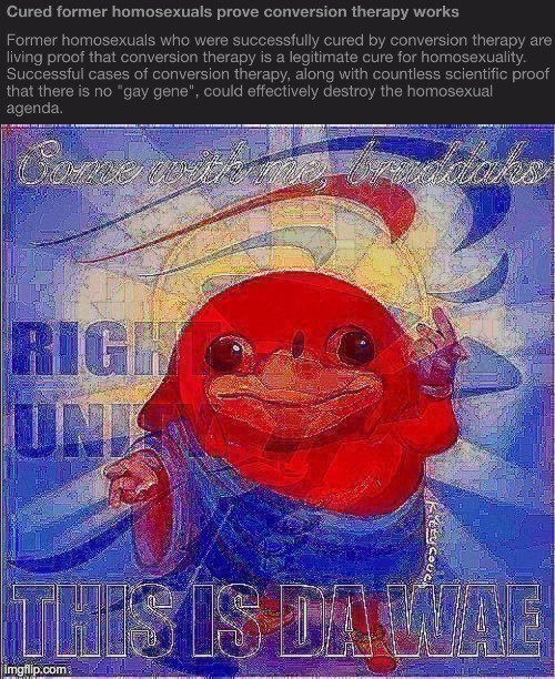 The RUP believes in conversion therapy as a matter of policy: It’s the noice thing to do. | image tagged in rup ugandan knuckles deep-fried,memes,politics,conversion therapy | made w/ Imgflip meme maker