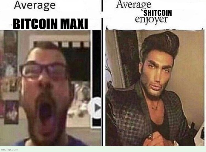 Almost time for Altseason | SHITCOIN; BITCOIN MAXI | image tagged in average blank fan vs average blank enjoyer,cryptocurrency,bitcoin,ethereum | made w/ Imgflip meme maker