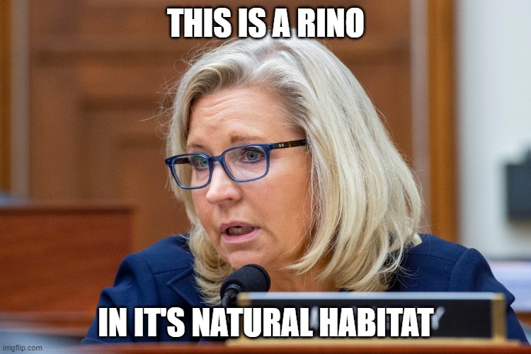 THIS IS A RINO; IN IT'S NATURAL HABITAT | made w/ Imgflip meme maker