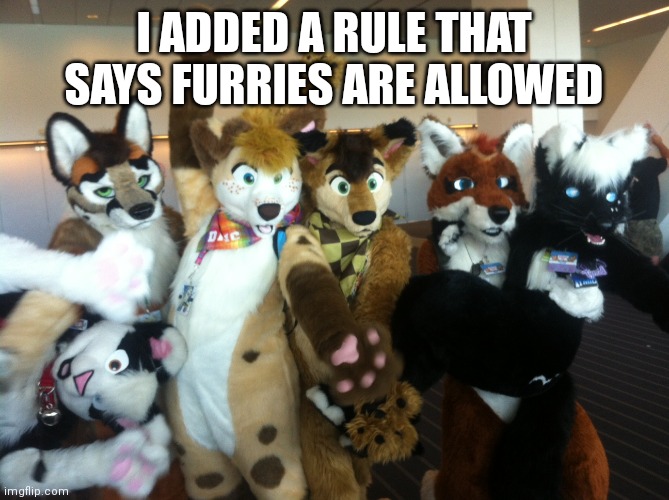 Just to be removed... | I ADDED A RULE THAT SAYS FURRIES ARE ALLOWED | image tagged in furries | made w/ Imgflip meme maker