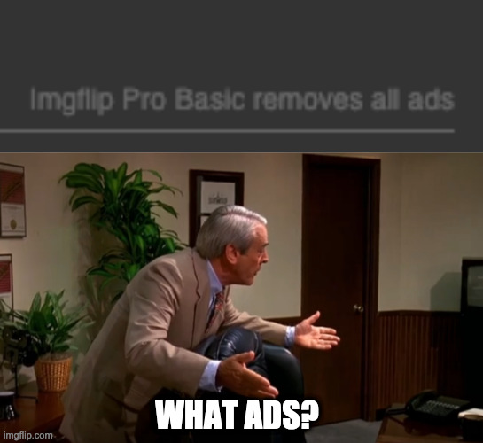 WHAT ADS? | image tagged in i don't see it | made w/ Imgflip meme maker