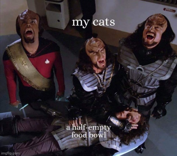 image tagged in cats,spoiled | made w/ Imgflip meme maker