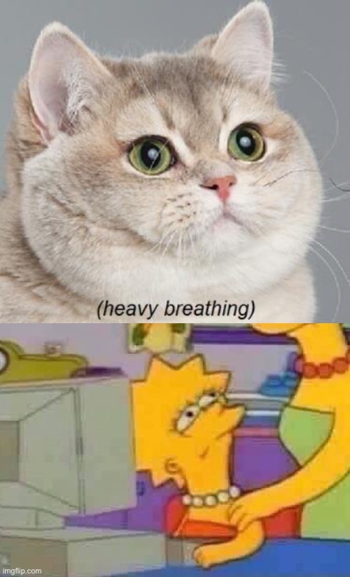 Credit To the internet | image tagged in memes,heavy breathing cat,lisa simpson computer | made w/ Imgflip meme maker