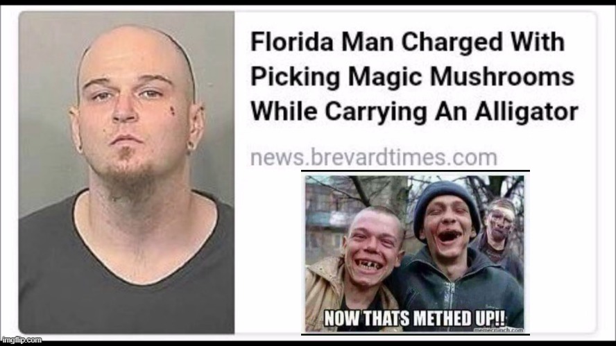 Trippin | image tagged in headlines | made w/ Imgflip meme maker