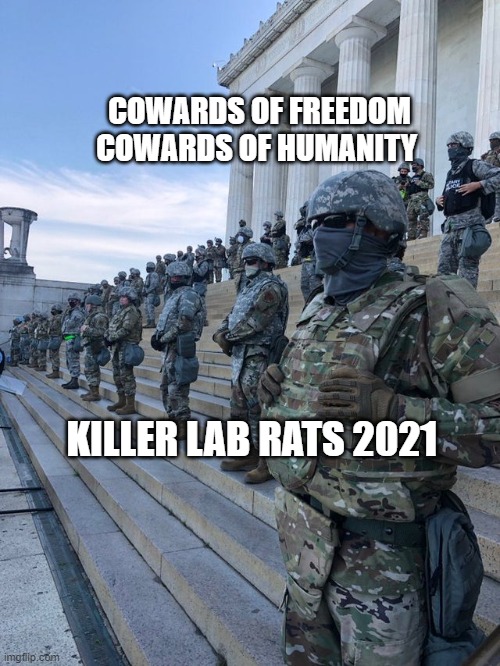 Troops Lincoln Memorial Washington D.C. USA | COWARDS OF FREEDOM COWARDS OF HUMANITY; KILLER LAB RATS 2021 | image tagged in troops lincoln memorial washington d c usa | made w/ Imgflip meme maker