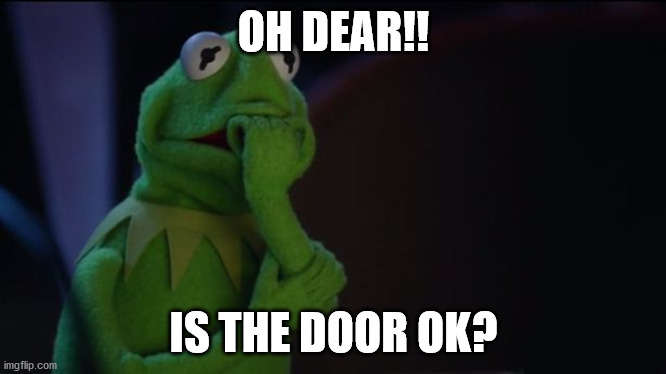 Kermit worried face | OH DEAR!! IS THE DOOR OK? | image tagged in kermit worried face | made w/ Imgflip meme maker