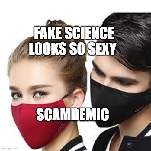 Mask Couple | FAKE SCIENCE LOOKS SO SEXY; SCAMDEMIC | image tagged in mask couple | made w/ Imgflip meme maker