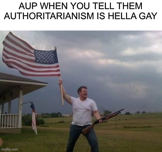 Reject corRUPtion, return to Common Sense | AUP WHEN YOU TELL THEM AUTHORITARIANISM IS HELLA GAY | image tagged in american flag shotgun guy | made w/ Imgflip meme maker