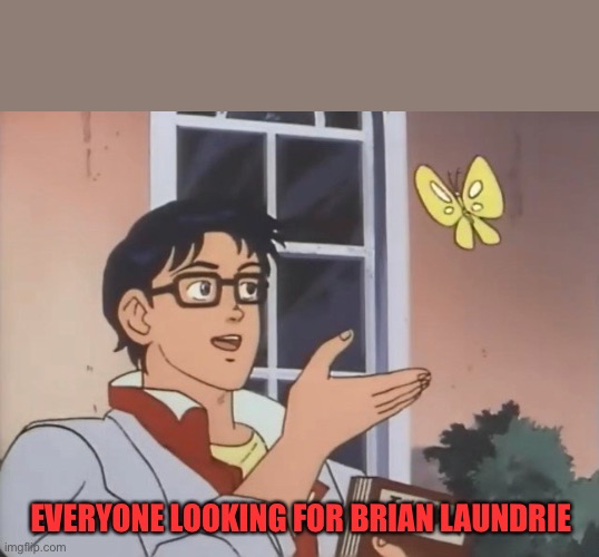 Brian Laundrie searching | EVERYONE LOOKING FOR BRIAN LAUNDRIE | image tagged in is this a bird | made w/ Imgflip meme maker